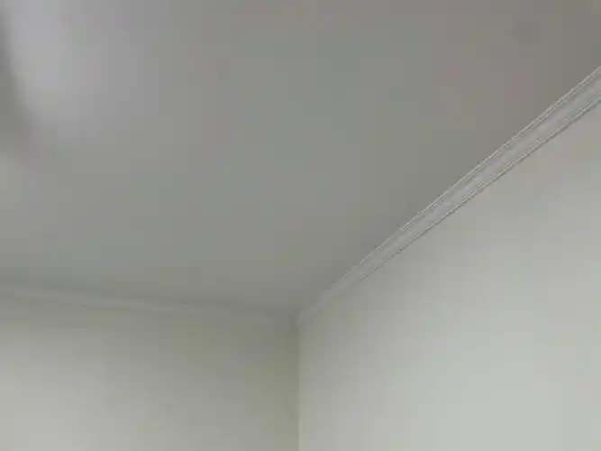 无滤镜立邦象牙白