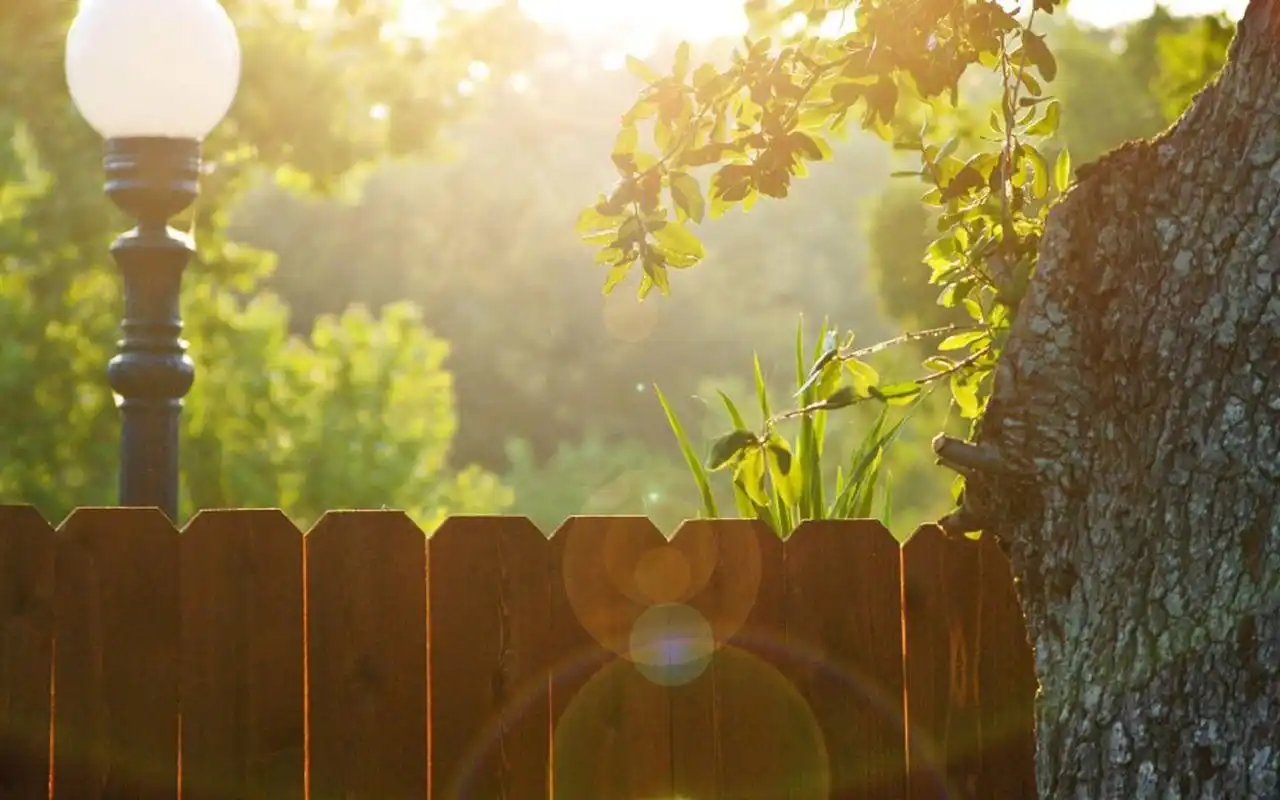 精选清晨唯美风景图片桌面壁纸