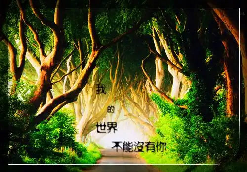 梦幻森林意境伤感文字图片遗忘的时光