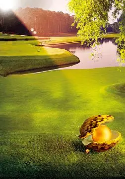 黄昏阳光绿色草地风景湖面合成背景素材