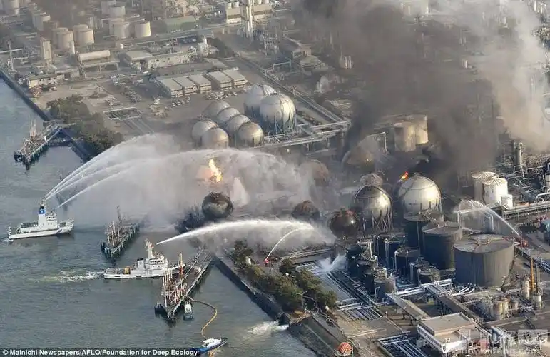 记录人类正在毁灭地球的照片