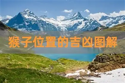 猴子位置的吉凶图解,长瘊子的位置吉凶