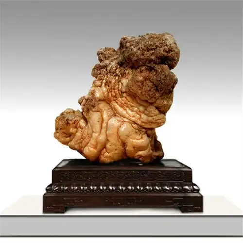 奇石欣赏《戈壁奇石-动物》