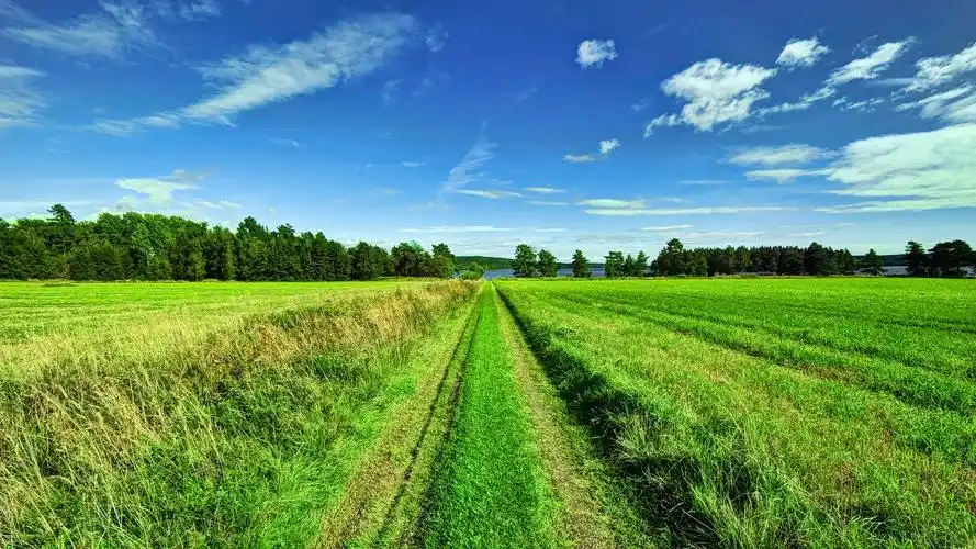 蓝天白云下的农场风光桌面壁纸
