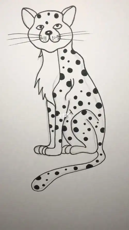 每日一画线描一只豹子简笔画简笔画教程文化绘画