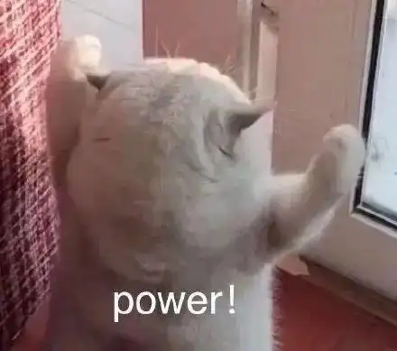 power猫猫力量表情包猫猫power表情