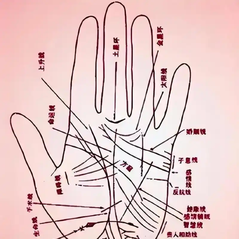 手相里有大学问,古代为何常说"女人指头短,不缺吃和穿"?