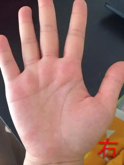掌纹图解女右手详解  9种手纹的女人命好图解