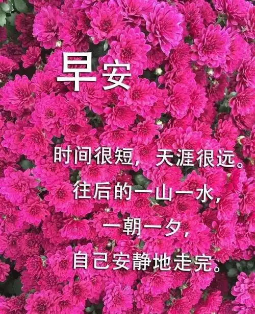 早安问候语漂亮的早上好祝福图片,2021早安问候语短信大全