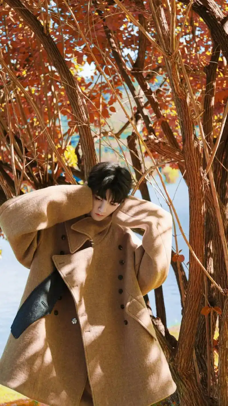 你要永远发光发热#王俊凯壁纸 #王俊凯 - 抖音