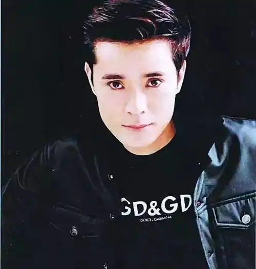 歌手陈汝佳曾经有多红