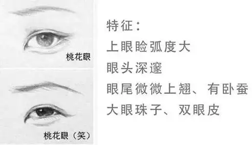眼睛如水一般清澈,周围皮肤略带红晕,眼形似若桃花,睫毛长,眼尾稍向上