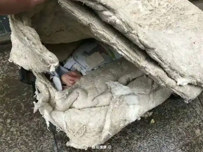 寒冬,应城弃婴后续报道!