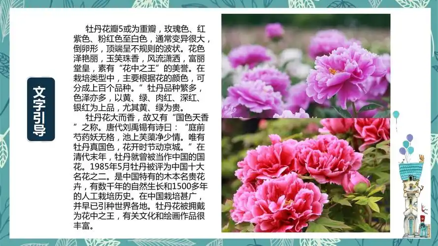 《少儿美术绘画课件》 艺米 三年级以上美术第-彩铅牡丹花_第4页