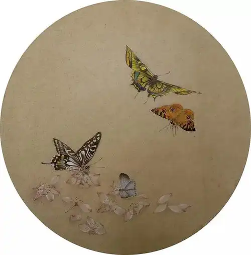 手绘-工笔-蝴蝶