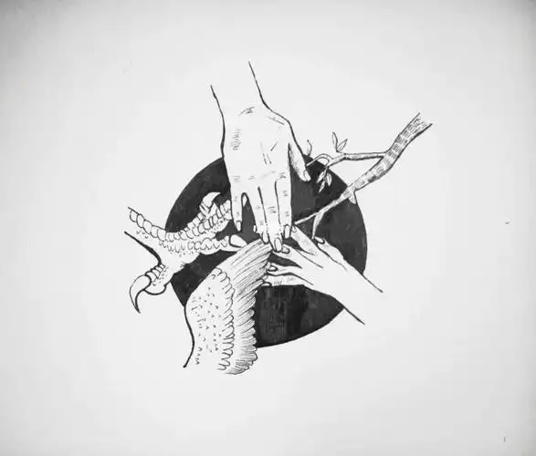 图形创意p1生与死p2人与自然和谐相相处