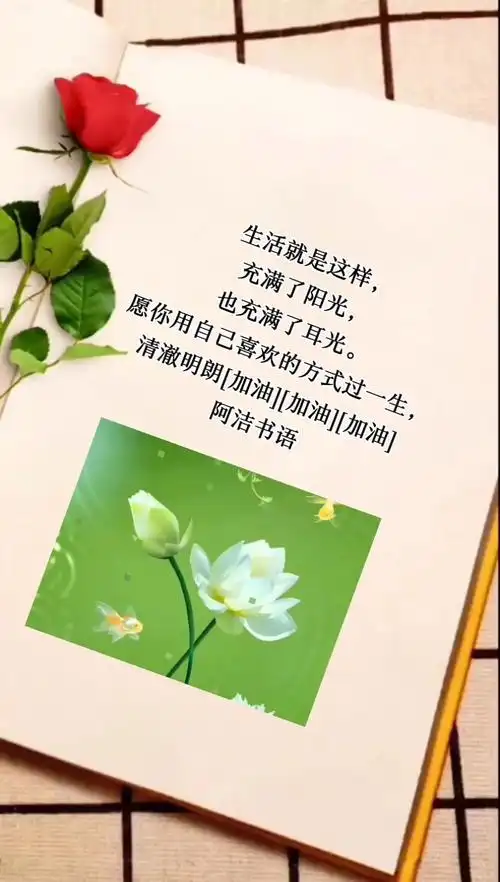 生活就是这样充满了阳光也充满了耳光