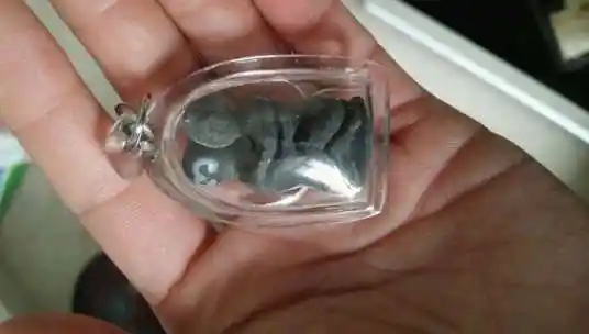 泰国阴牌有多邪泰国佛牌中的阴牌大解密