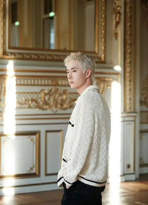 王一博 香奈儿##王一博白金狼尾街拍