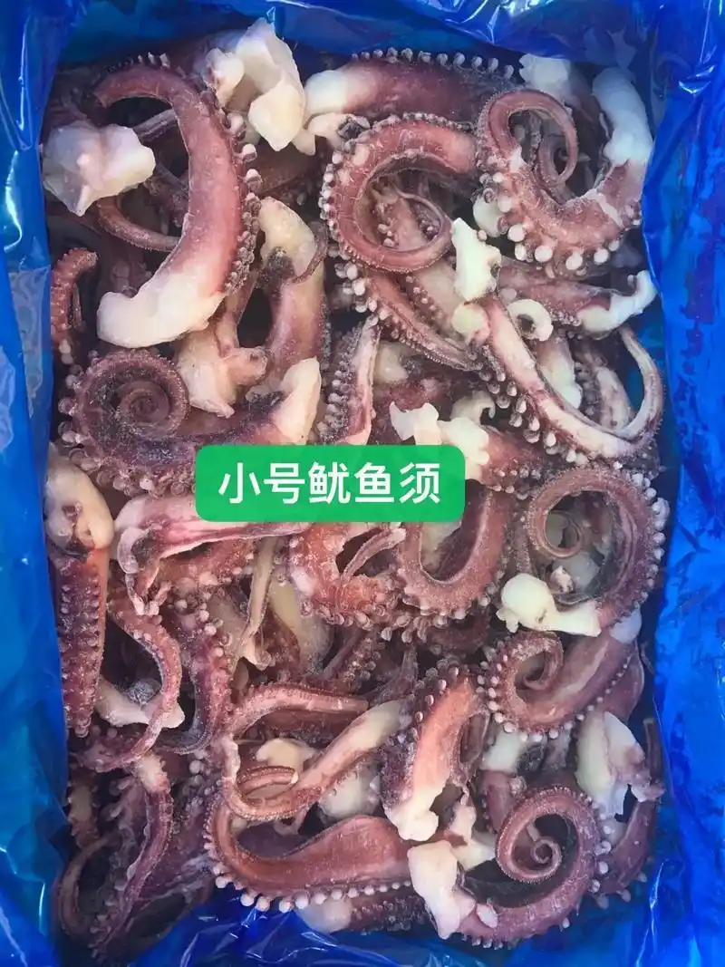 鱿鱼章鱼系列的产品09.各种各类的鱿鱼章鱼部位 均有货 欢迎 - 抖音