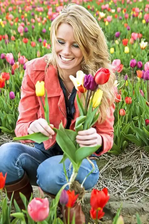拿着几朵郁金香的美女摄影高清图片