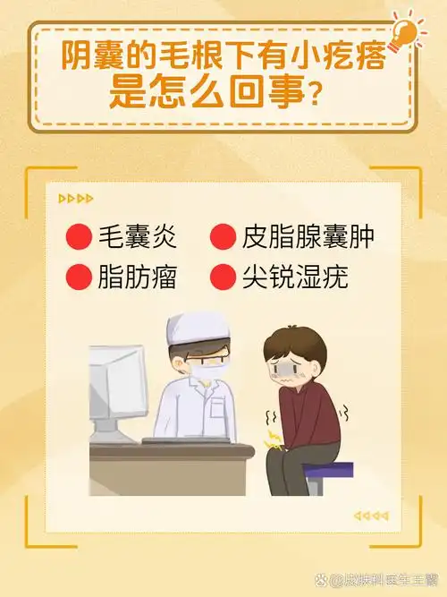详细原因大揭秘   阴囊区域出现小疙瘩,尤其是毛根下,可能会引起不少