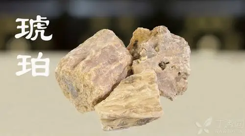 中医(专长)医师资格证书,每日一味学中药——琥珀