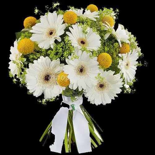 想念天堂的妈妈,送给妈妈的歌