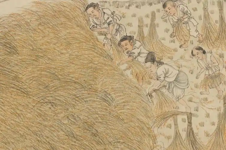 古画放大一粒米怎样走上古人的餐桌