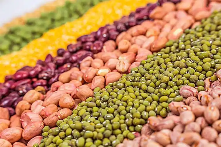 粗糙,粮食图片_粗糙,粮食高清图片_全景视觉