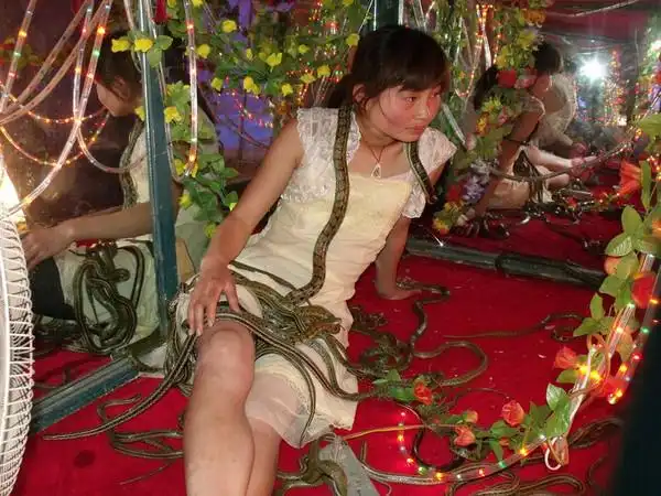 玩蛇的小女孩,胆小勿入,呵呵