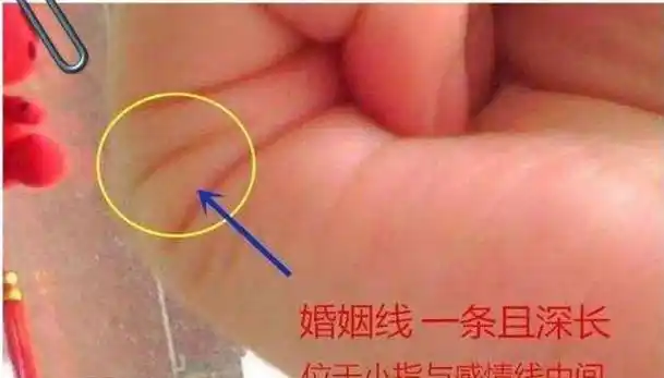 手相没有婚姻线代表什么意思会单身一辈子吗