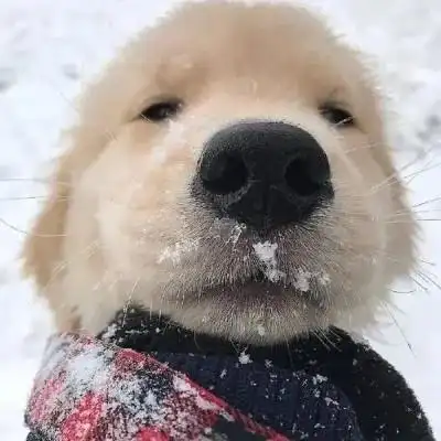 头像沙雕图片2023最火爆 笑到室息_搞笑头像_头像屋