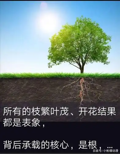 高考励志短句《6》