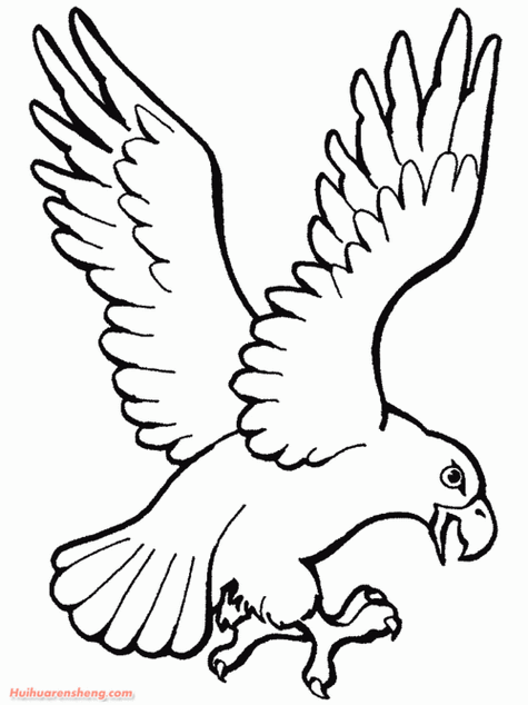 展翅雄鹰儿童简笔画