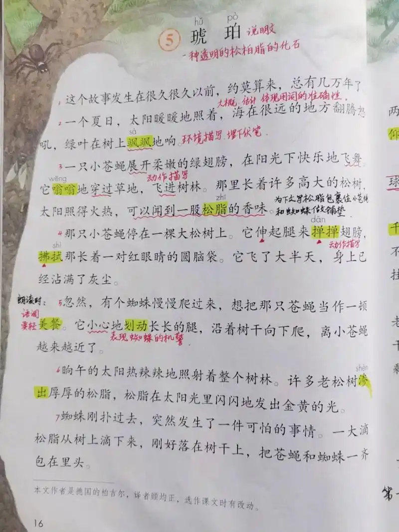 课堂笔记|四下《琥珀》 课堂笔记|部编版人教版统编版四年级语文下册