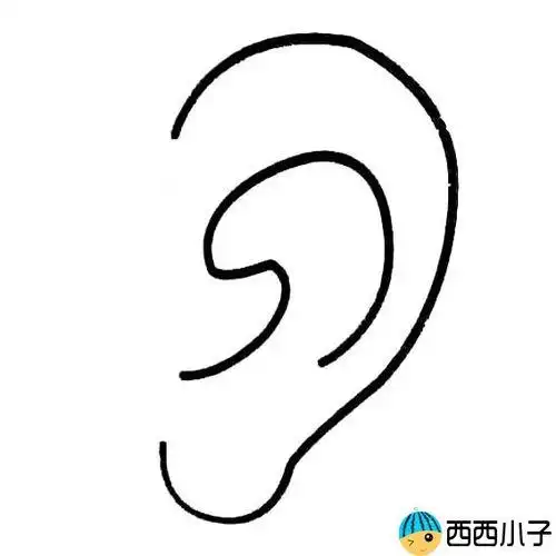 耳朵的简笔画 耳朵的简笔画简单又好看
