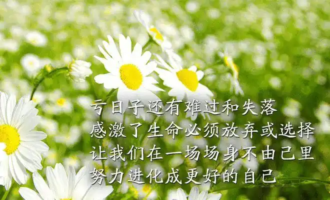 发朋友圈人生感悟哲理的简短句子简短走心的心情语录