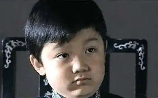 昔日童星8岁火遍全国长残后无戏可拍他的问题远比你想象的多