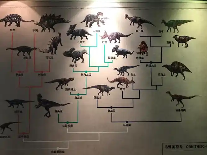 大部分恐龙我都认识.