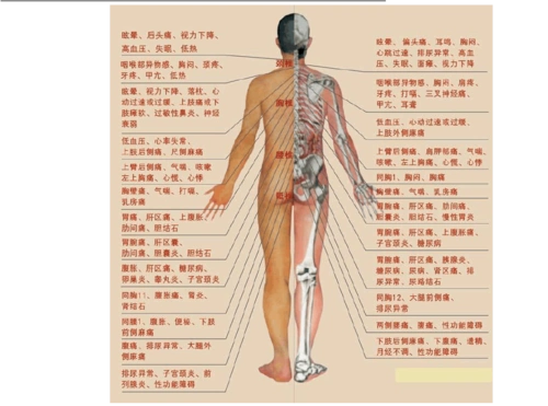 身体疼痛对应器官疾病示意图