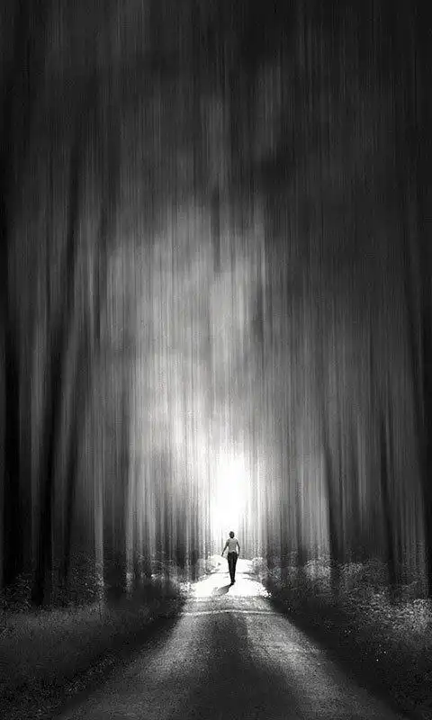 "走出自己灵魂的奴怯懦,才有心灵的自由" 壁纸 手机 背景图 锁屏 黑白