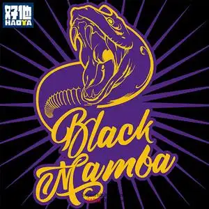 湖人队24科比布莱恩特8号黑曼巴蛇纪念短袖t恤纯棉半袖运动情侣装