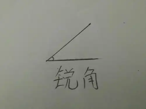 锐角:小于90度而大于0度.