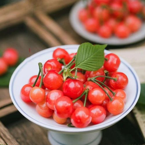 中华小樱桃国产水晶樱桃新鲜纯甜黄蜜土樱桃孕妇水果黄草米易樱珠