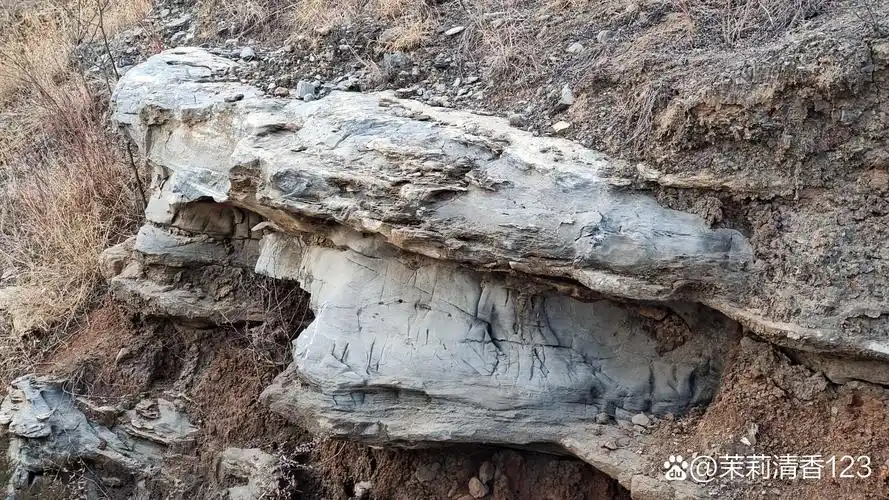 奇形怪状的山石  多年的风吹日晒雨淋,形成了这些石头现在的形状.