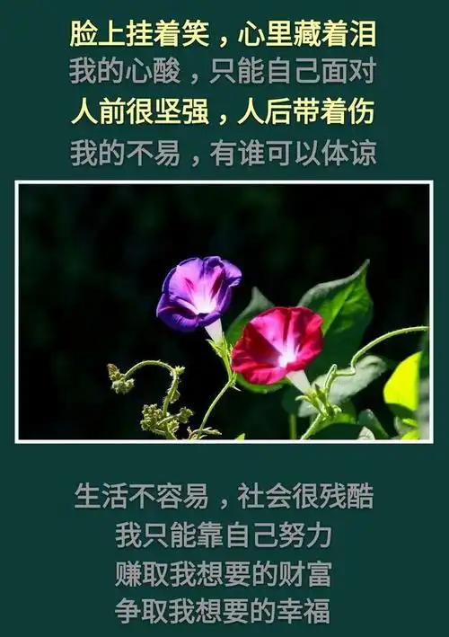 脸上挂着笑心里藏着泪人前很坚强人后带着伤