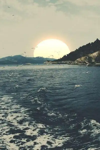 我的梦想就在大海,你知道吗?