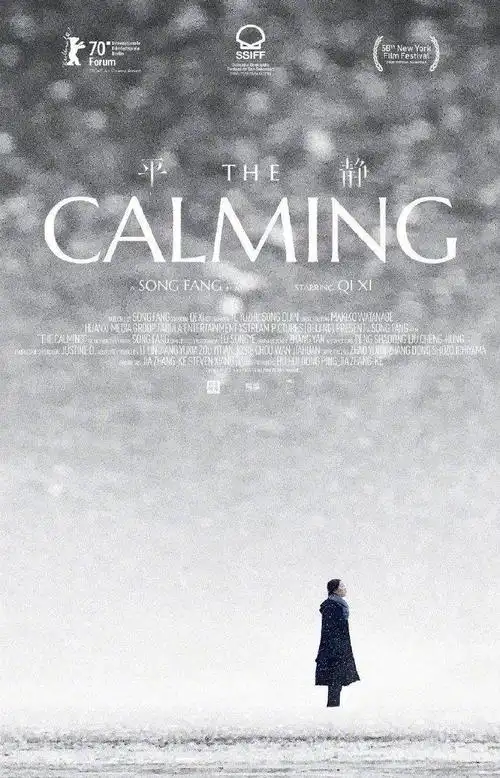 中文电影海报设计