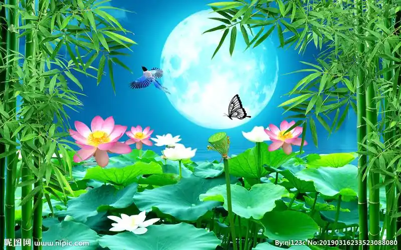 竹林荷花背景墙图片